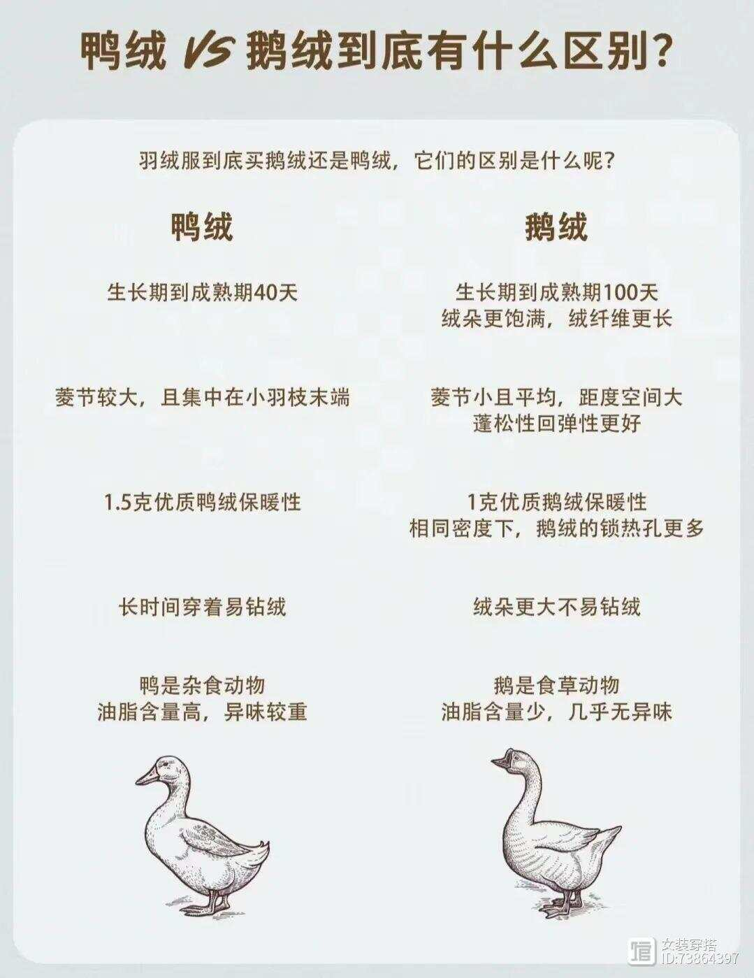 1736303484153651.png